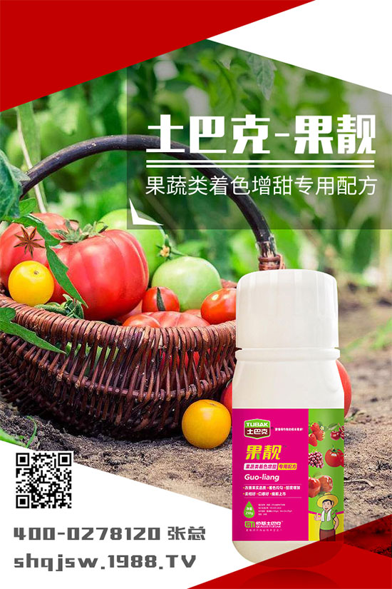 南瓜種植時(shí)間是什么時(shí)候？南瓜的播種方法及栽培技術(shù)!