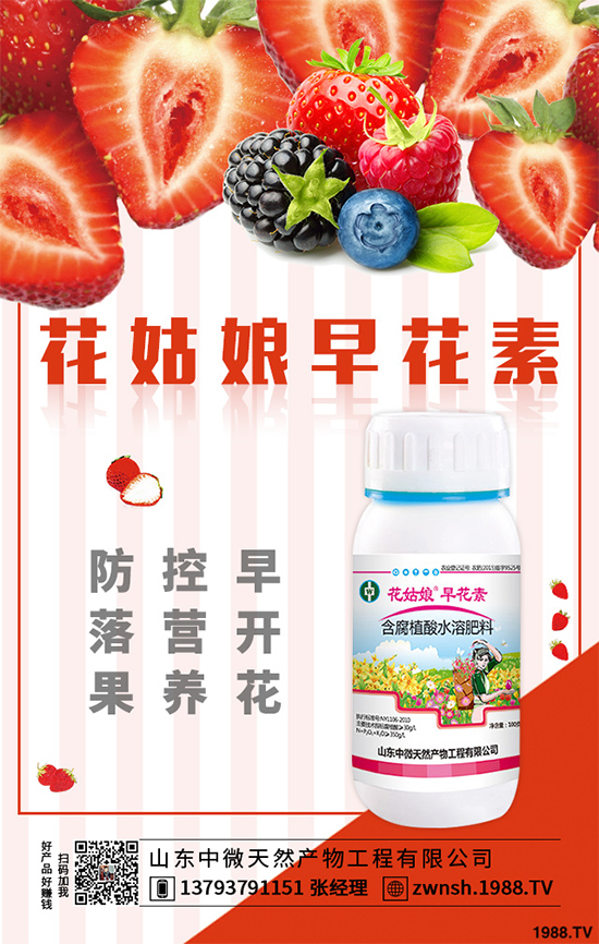 大蔥苗期病害有哪些危害表現(xiàn)？該如何預(yù)防？大蔥苗期病害預(yù)防措施