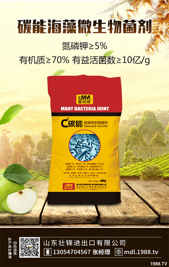 大蔥紫斑病有哪些危害？是如何引起的？大蔥紫斑病的防治措施