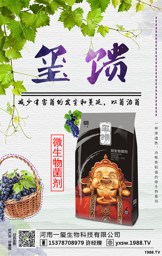     �������ӷNֲ�{(l��n)ݮ���Nֲ�{(l��n)ݮ��(y��ng)ԓע��ʲô��