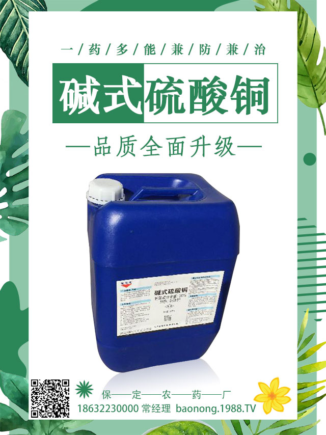 馬鈴薯病害怎么防治？馬鈴薯主要病害防治