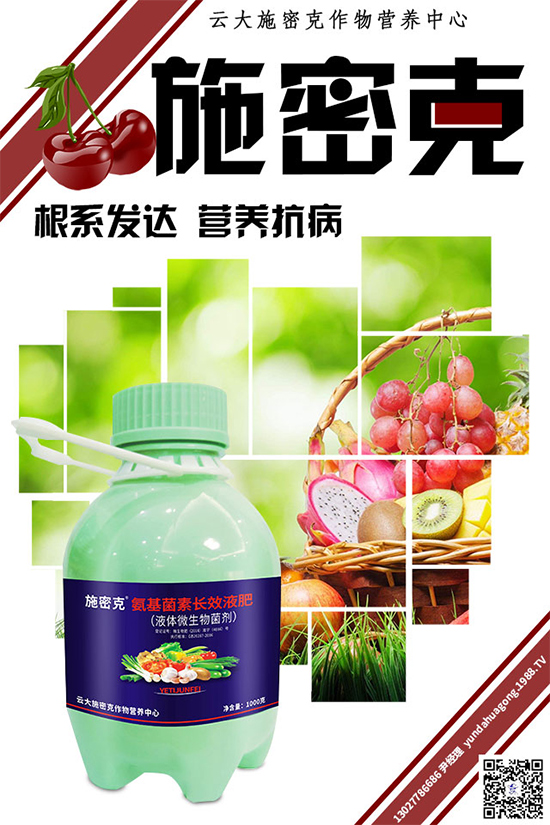 大蔥霜霉病危害巨大，到底是如何引起的？大蔥霜霉病防治措施