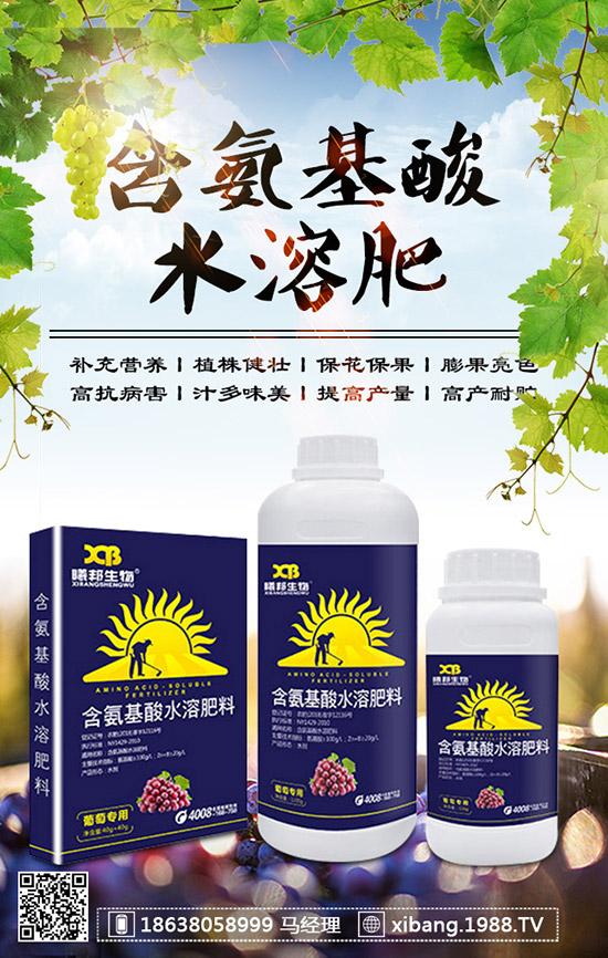 櫻桃蘿卜什么時(shí)候種植？櫻桃蘿卜是否需要澆水