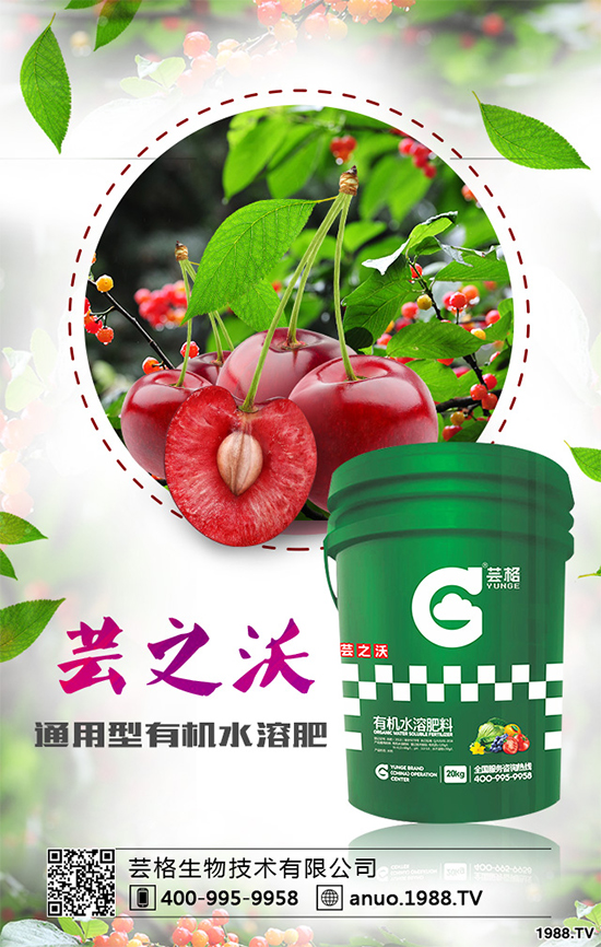 大蔥灰霉病有哪些危害？該如何防治？大蔥灰霉病防治措施