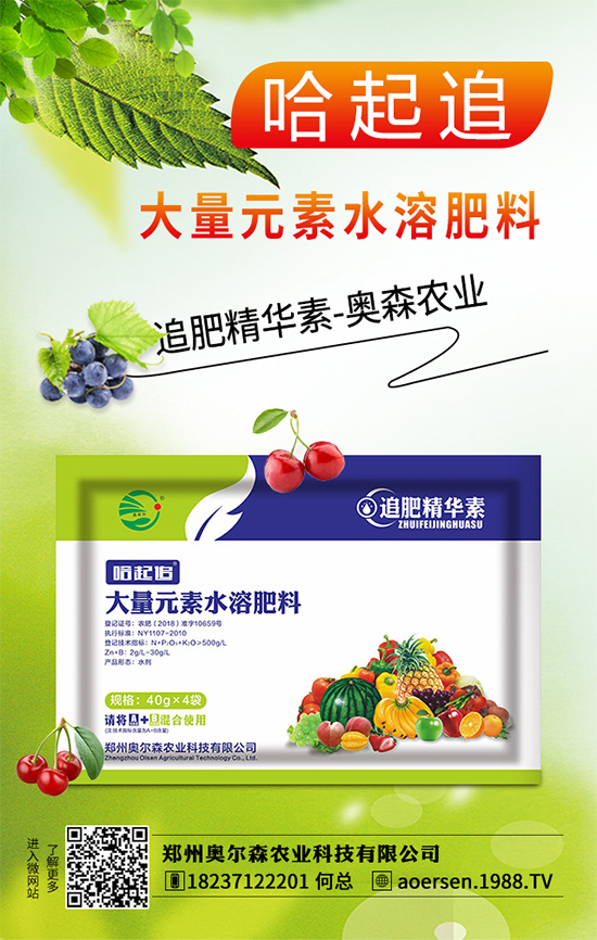 大蔥灰霉病有哪些危害？該如何防治？大蔥灰霉病防治措施