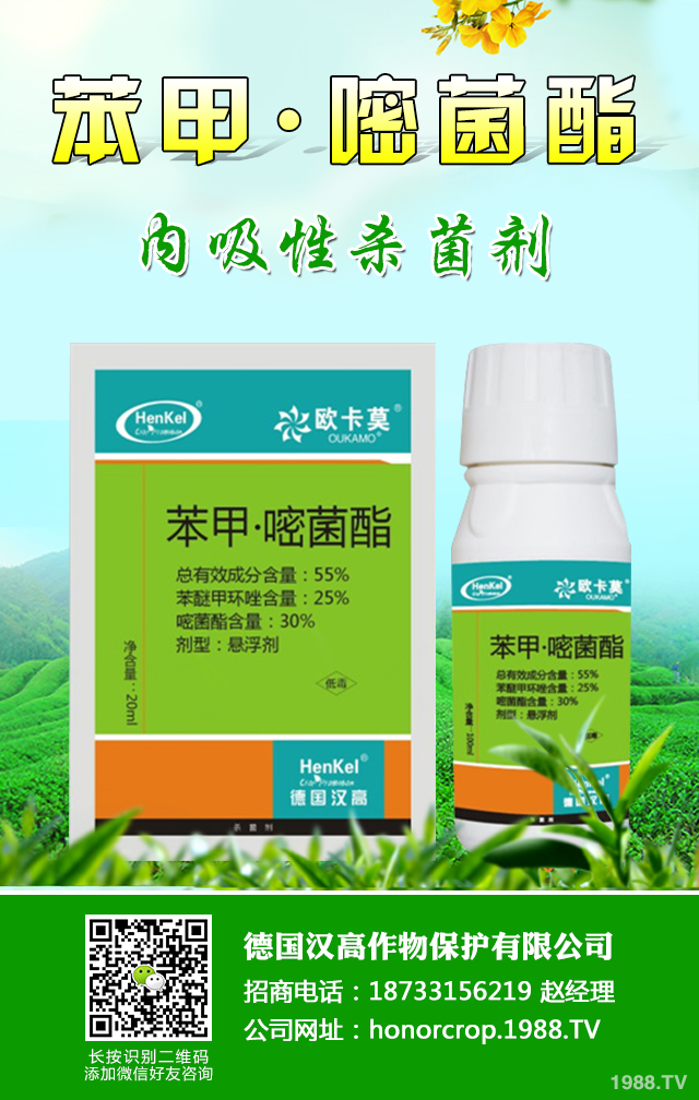 西葫蘆病害怎么辦？西葫蘆四大病害防治技巧