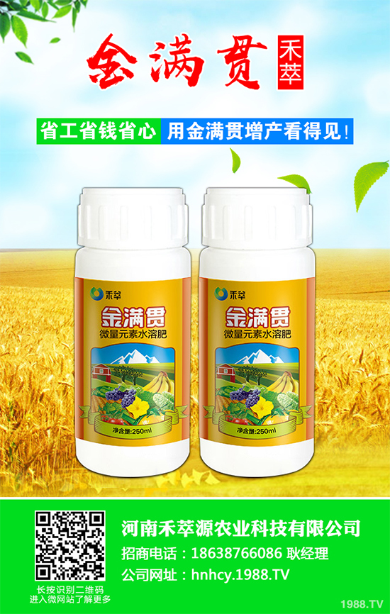 大蔥軟腐病危害這么大，到底該如何防治？大蔥軟腐病的癥狀及防治方法