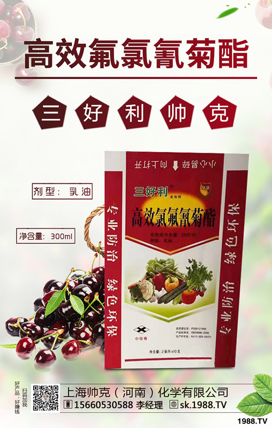 辣木樹的種植前景如何，如何種植辣木樹？