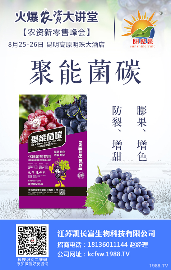 豌豆什么時候種植？該怎么種？豌豆種植時間及種植技術(shù)要點