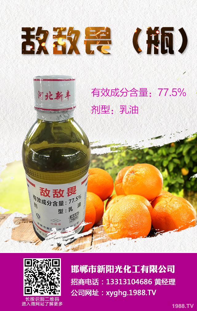 ���ټt֩����ô���������ټt֩����Ч���μ���