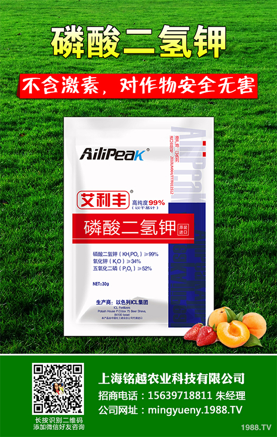 �㶹����������ЩΣ�����F��ԓ���ӷ������㶹���������η���