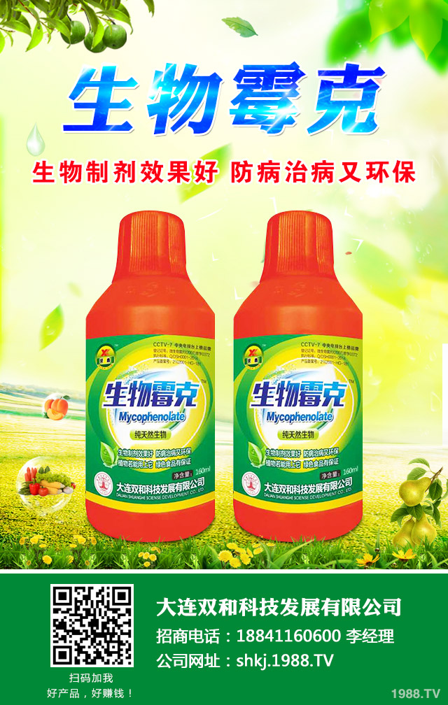 大棚黃瓜病害怎么辦？大棚黃瓜病害防治技巧