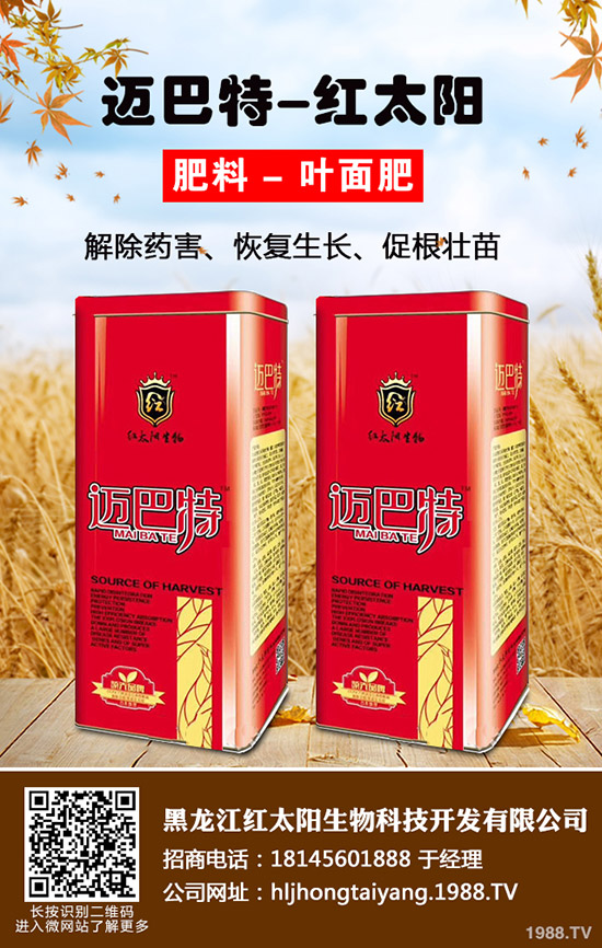 常吃紫蘇有什么好處，紫蘇的作用與功效！