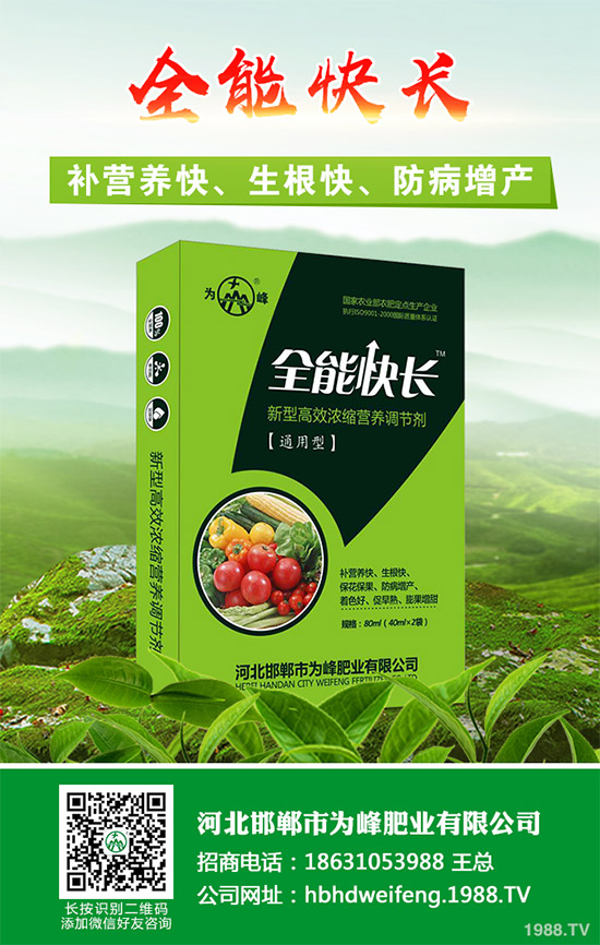 ����������Щ��̎������Ĺ�Ч���ü�ʳ�ý���