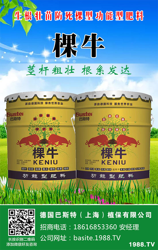 ���[���ʩ�������[�ƌW(xu��)������ʩ�ʷ�����