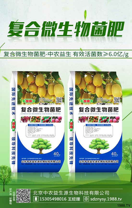     2019年冬小麥如何施肥？各地區(qū)冬小麥?zhǔn)┓史桨讣笆┓始夹g(shù)！