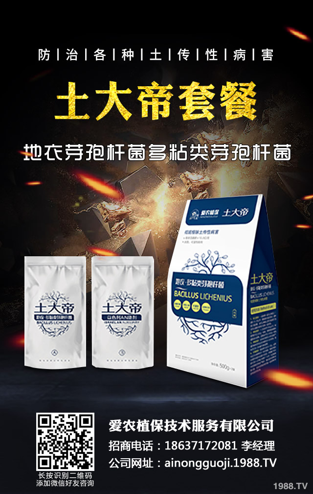 �ﲥС����ô����|�����ﲥС������|����Ҫ�c