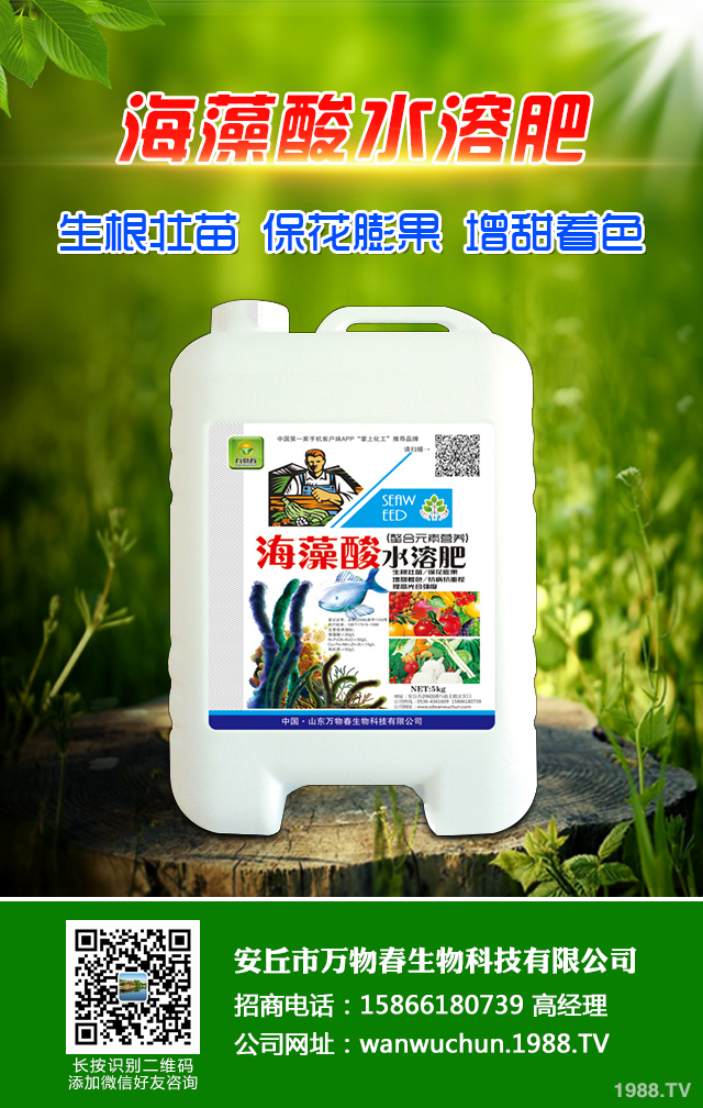 �ﲥС����ô����|�����ﲥС������|����Ҫ�c