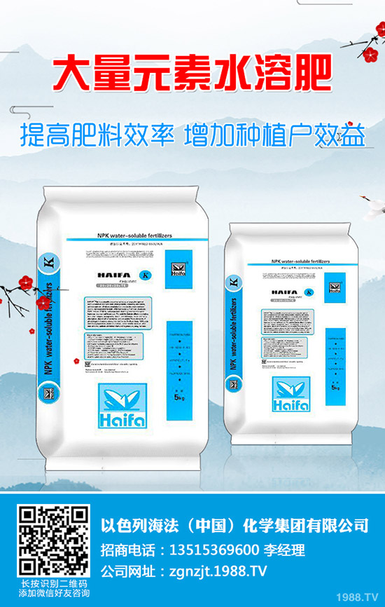     2019年9月底國內(nèi)二銨市場價(jià)格行情走勢分析綜合評述