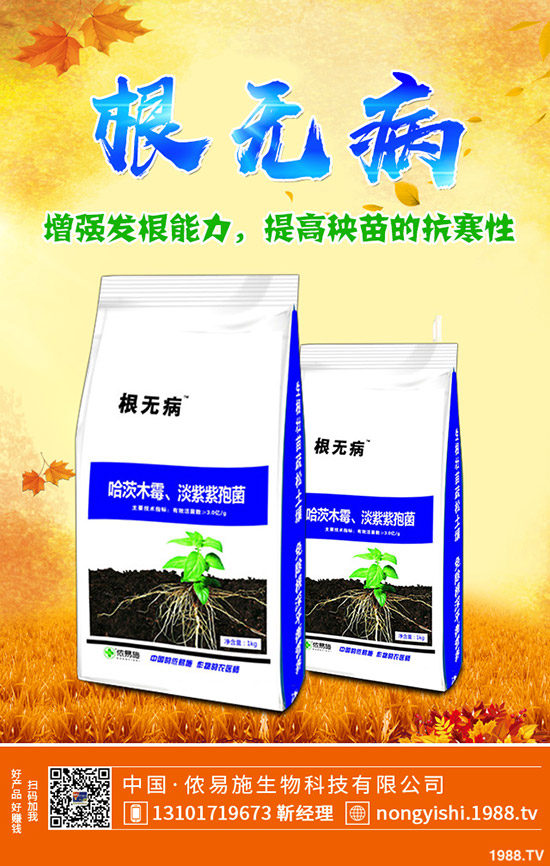     國(guó)慶節(jié)前一銨出貨壓力大！最新一銨行情走勢(shì)預(yù)測(cè)2019-9-30