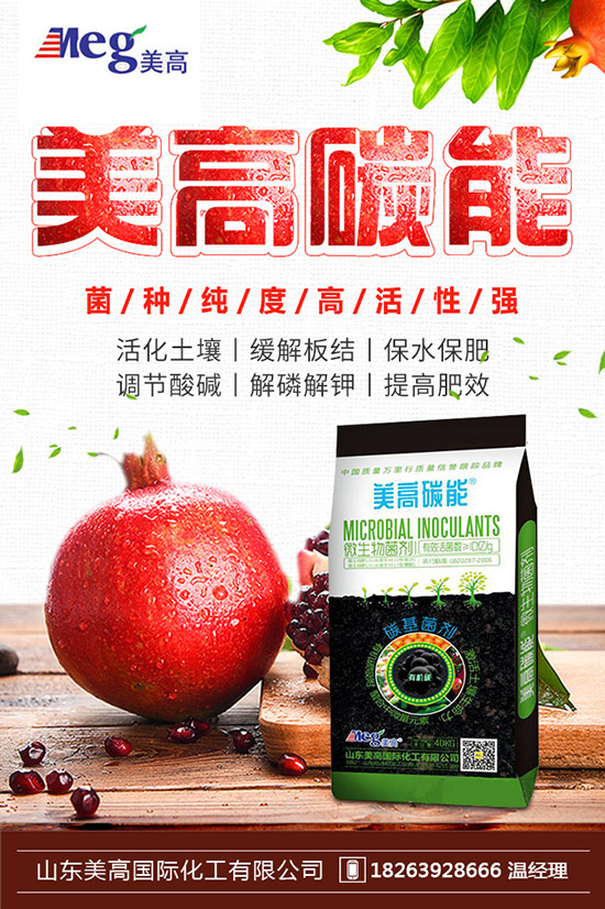     秋季家庭陽臺(tái)種植什么蔬菜好？秋冬陽臺(tái)種菜的方法！