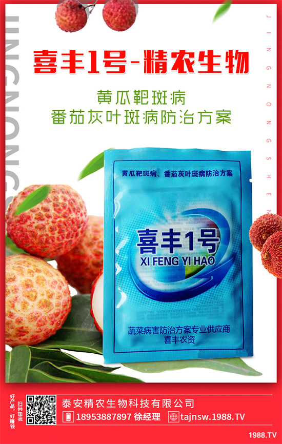 ���n������Щ��̎����Ҋ�n�ĵ�����