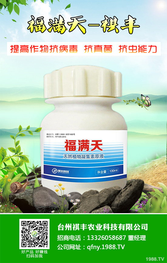 ���n������Щ��̎����Ҋ�n�ĵ�����