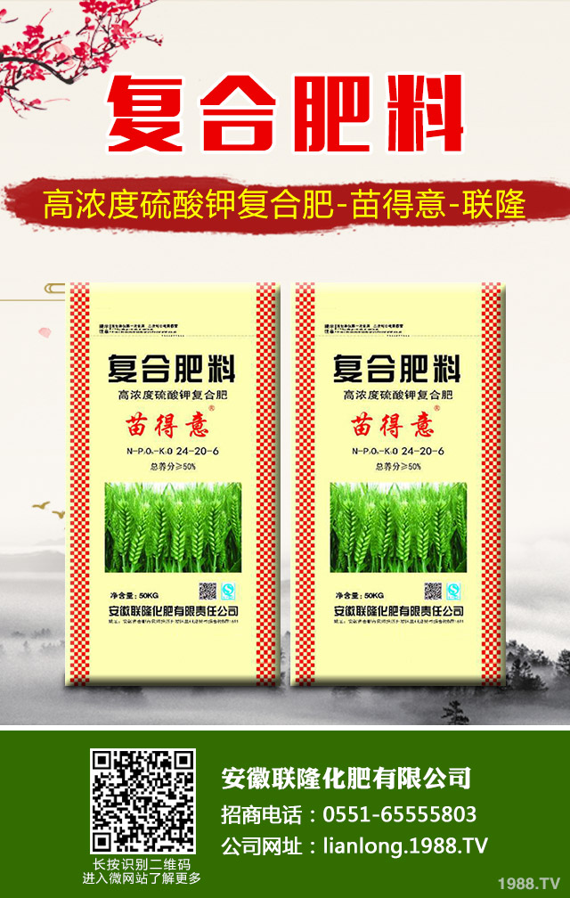 �K�F�~�S�݆��}��ô��Q���K�F�~�S�ݽ�Q����