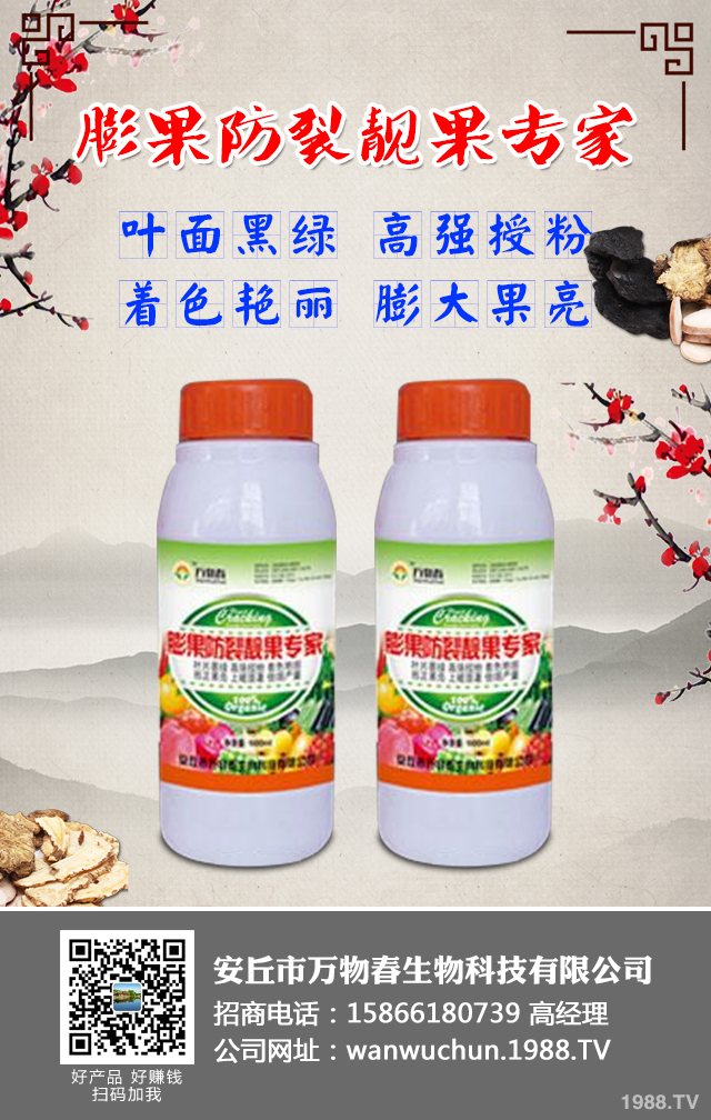 ����A(y��)����ݮ��������ݮ���η��μ���