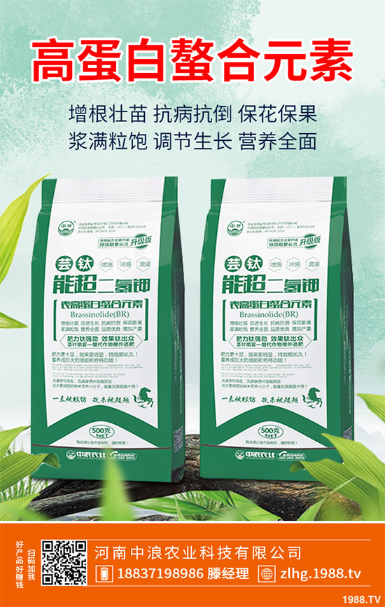 露地卷心菜什么時(shí)候種植？露地卷心菜種植技術(shù)大全