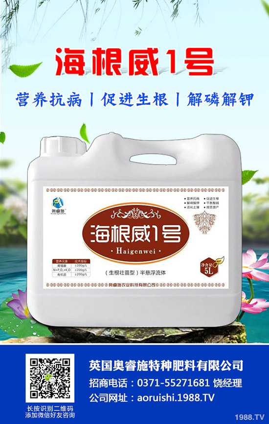 吃芋頭有哪些好處，芋頭的營養(yǎng)價值及食用禁忌！