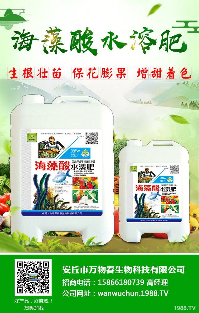 �O(p��ng)����(sh��)֦�ɲ�����ô�k�������O(p��ng)����(sh��)���N֦�ɲ���