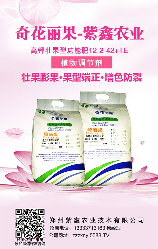 黃瓜施肥時的五大避免，大家知道嗎？