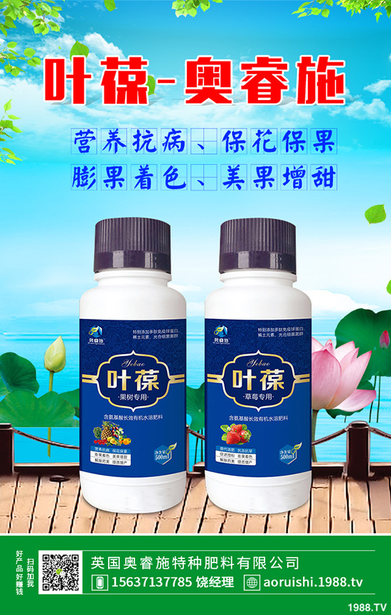 胡蘿卜什么時候育苗，胡蘿卜育苗方法有哪些？