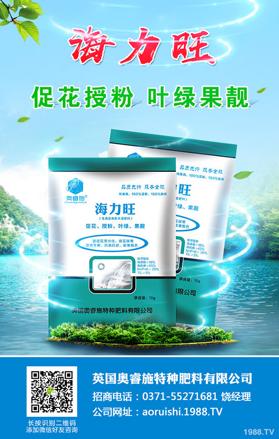 現在種植沙糖桔還賺錢嗎？沙糖桔種植技術大全