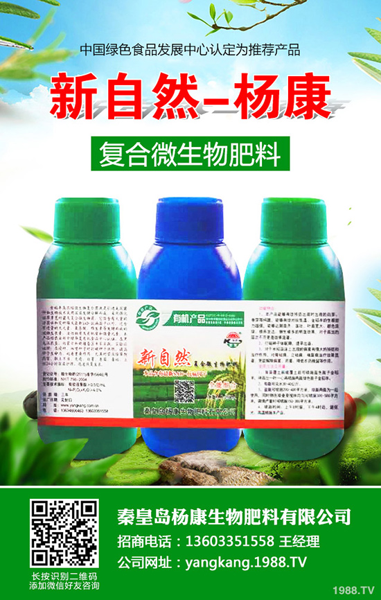 拐棗如何種植，拐棗種植技術(shù)及種植前景！