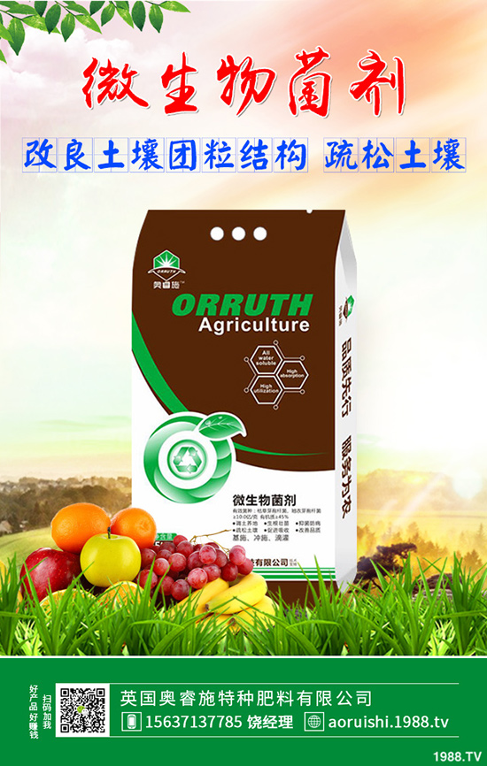 雪菜種植講究技巧，你會嗎？雪菜優(yōu)質(zhì)豐產(chǎn)種植技術(shù)