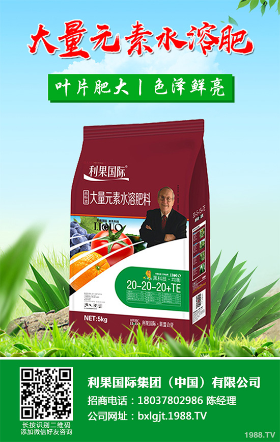     芹菜斑枯病有哪些危害癥狀？芹菜斑枯病的危害及防治