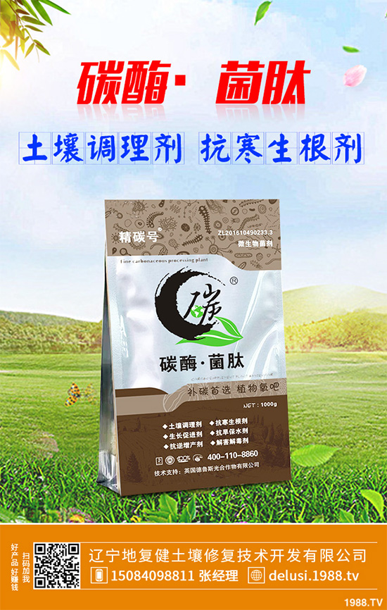     芹菜斑枯病有哪些危害癥狀？芹菜斑枯病的危害及防治