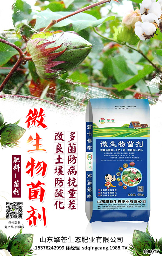     春節(jié)來臨！2020年1月尿素能否挺價？尿素行情走勢預測！