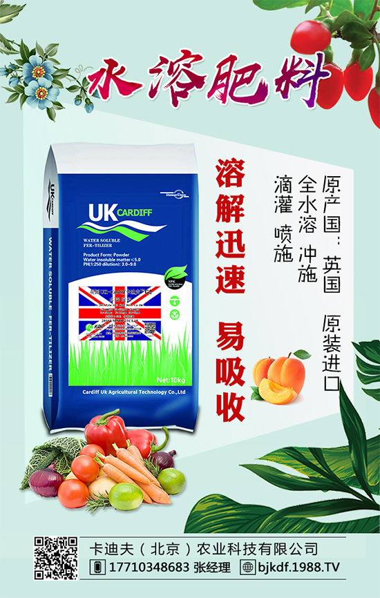 �S����Ҫ��ô�Nֲ���S���ˌ��h(hu��n)���l����Ҫ��