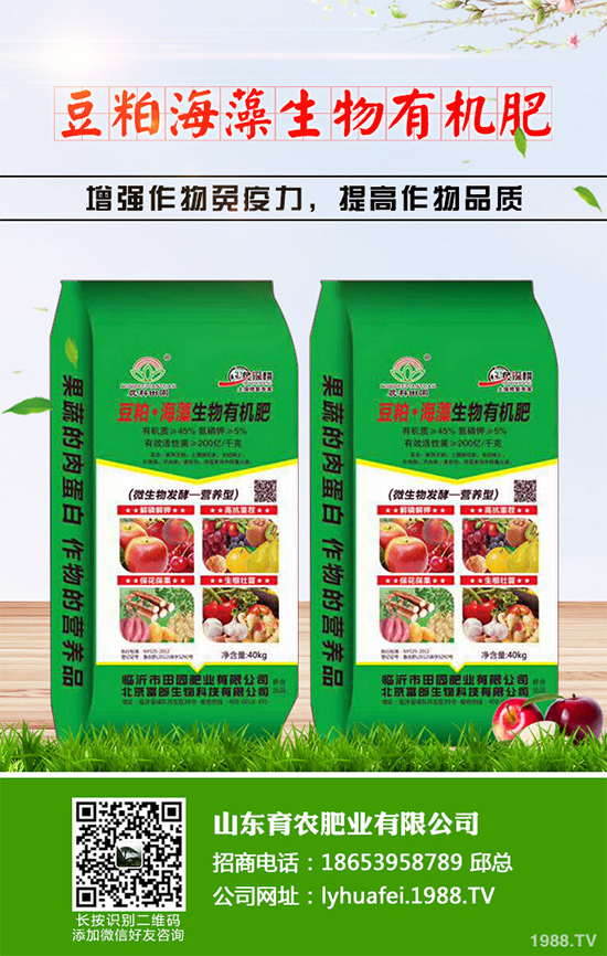 芹菜早疫病有哪些危害癥狀？芹菜早疫病的癥狀及防治措施