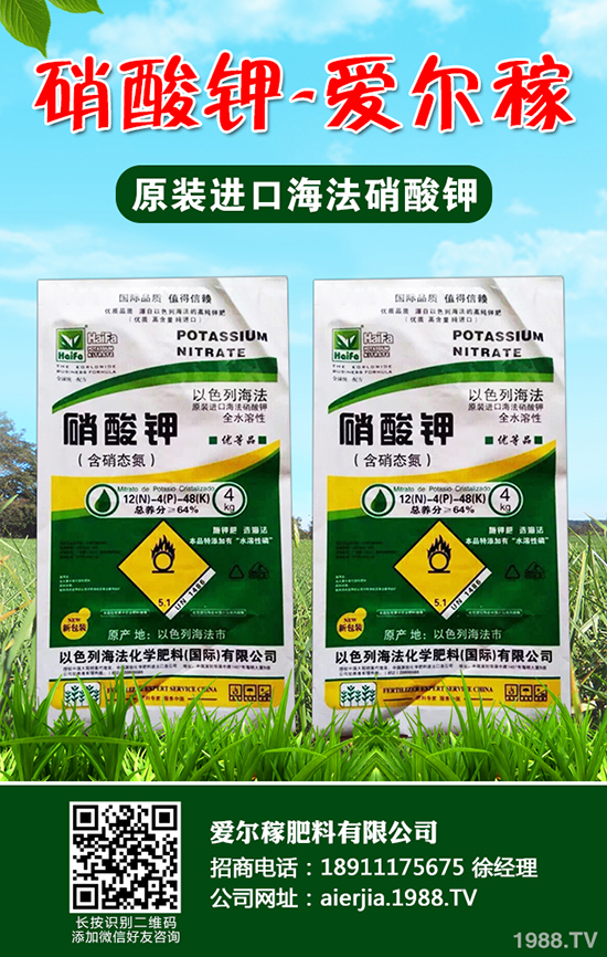 常吃蘆筍對人體有哪些好處？蘆筍的功效作用及營養(yǎng)價值