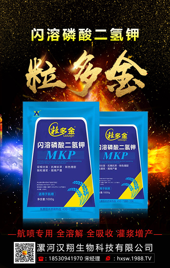 柚子如何種植拔高產(chǎn)量呢？柚子的科學(xué)種植方法！