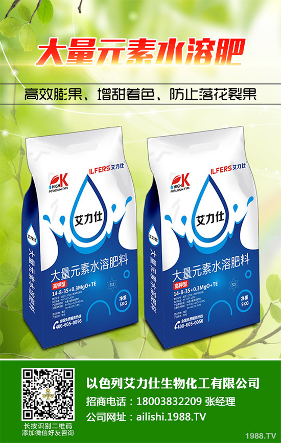 �۲˸���������ΰl(f��)������ԓ���ӷ��������(l��i)��������