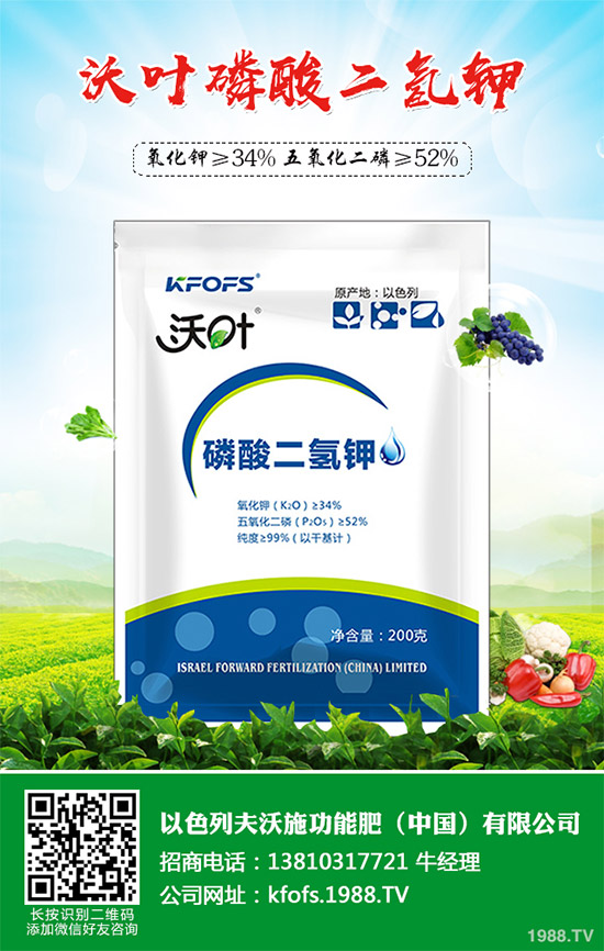 �۲˲���������ЩΣ����ԓ��η������۲˲�������Σ���c����