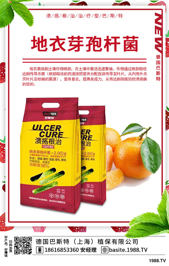 局部地區(qū)尿素行情下滑！2020-1-17國內(nèi)尿素價格走勢及交易日評！