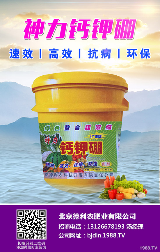 2020年春節(jié)前鉀肥價(jià)格上漲有限！2020-1-17日鉀肥行情走勢分析！