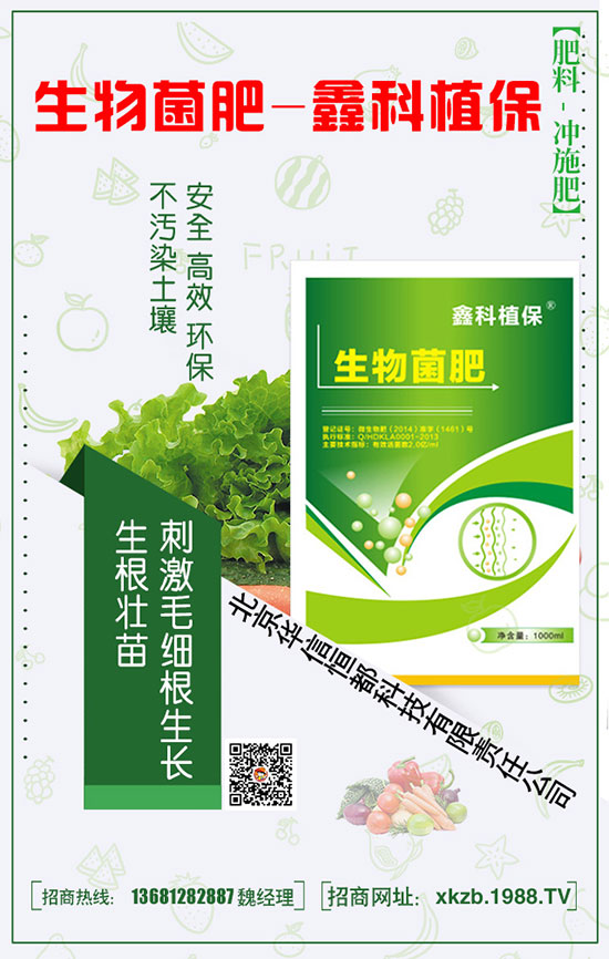 君子蘭的科學(xué)種植技巧，讓自己的花朵更艷麗！