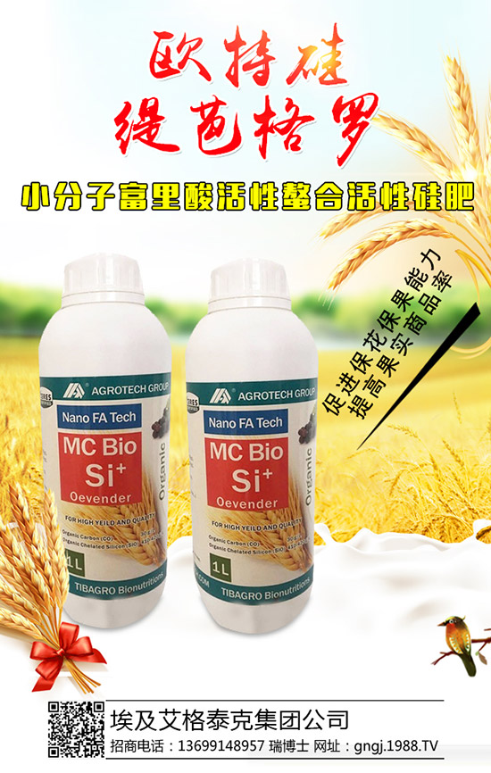 ���������Y(ji��)��������ô���£��������������������